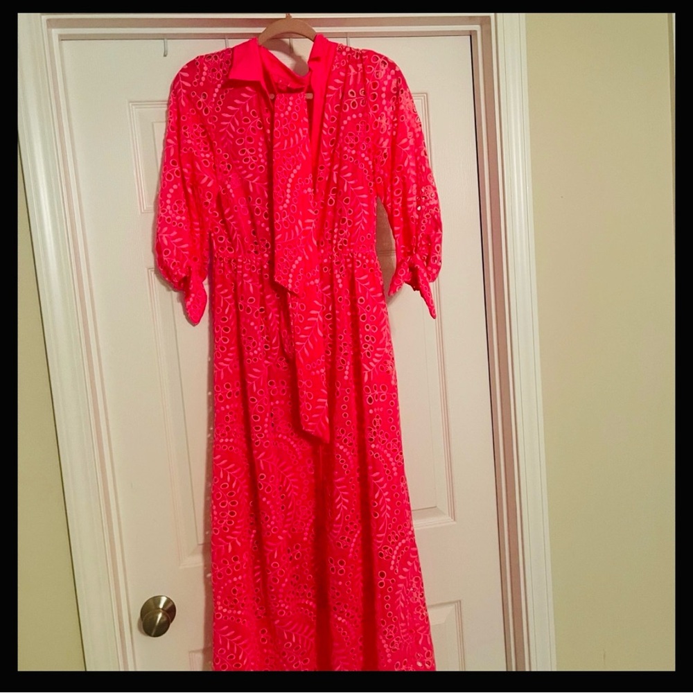 Lilly Pulitzer Amrita Pink Maxi Dress - Picture 2 of 6